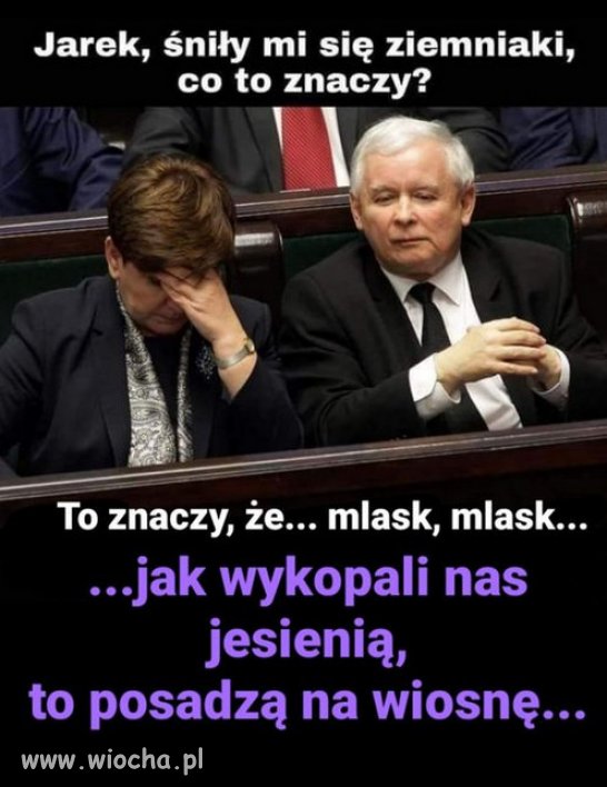Mialo byc tak pieknie...a wyszlo jak zawsze, śmiesznie!