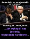 Mialo byc tak pieknie...a wyszlo jak zawsze, śmiesznie!