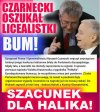 W PiS sami oszusci, drobne cwaniaczki i zlodzieje!