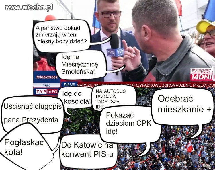 TVP Info bada fenomen