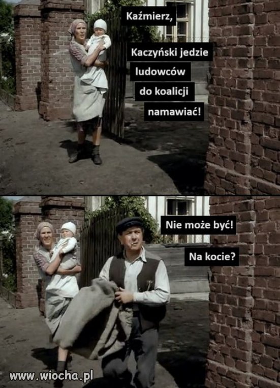Kupiona przez Jaro holota, potrafila klamac i krasc!