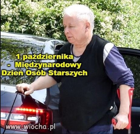 Kotek na kolanka, kubek z ziółkami w dłoń