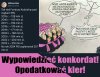 Wypowiedzieć konkordat. 