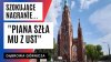 To nie piana...to bita śmietana