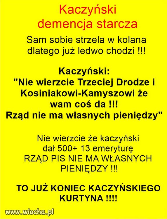 Yntelygent z Żoliborza, podwórkowy chuligan...
