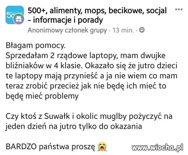 Pisowska patola