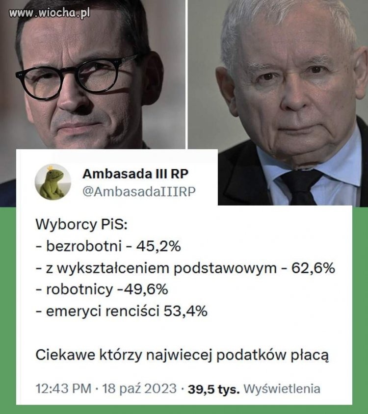 Wyborcy 