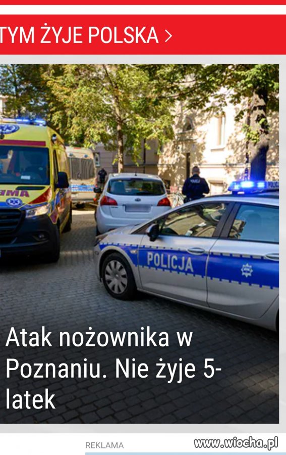 Pisowski morderca !!!