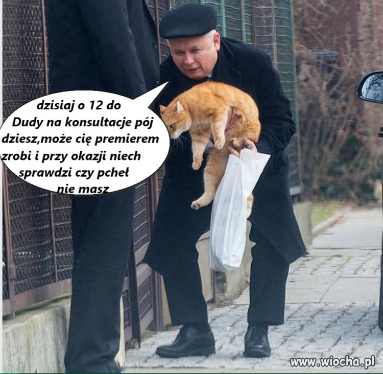 Opozycja,konsultacje