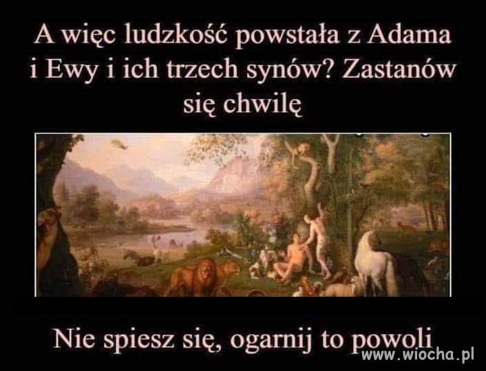 No bo niby jak?