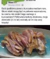 Średnio wysmażone 