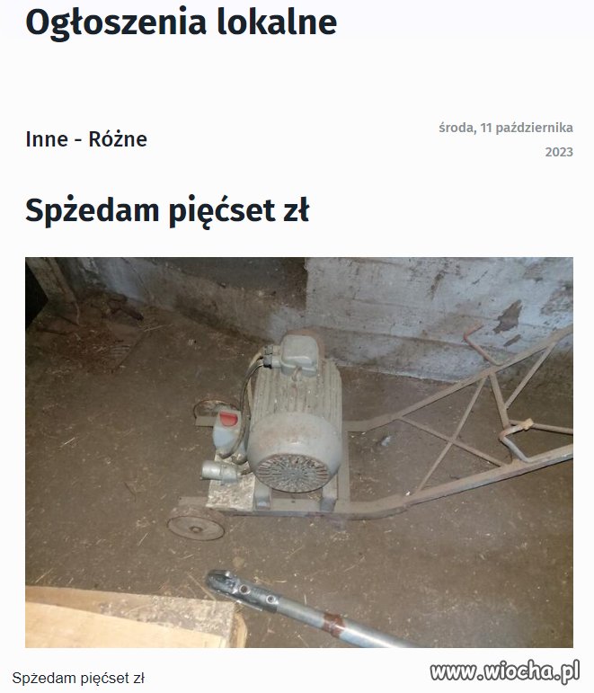 Kiedy przeglądasz ogłoszenia na Podlasiu