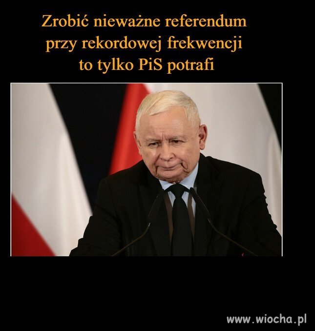 Tylko oni to potrafią