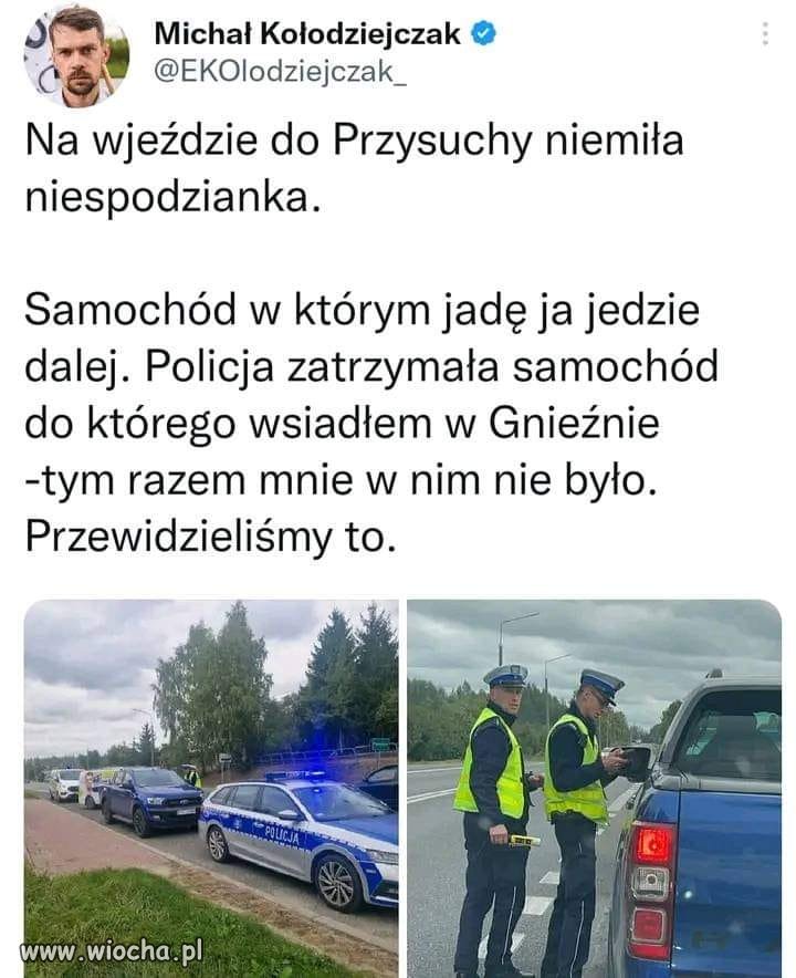 Zrobił pisowskich głupków w przysłowiowego ''konia''.
