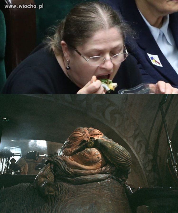 Jaki kraj taka Jabba...