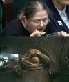 Jaki kraj taka Jabba...