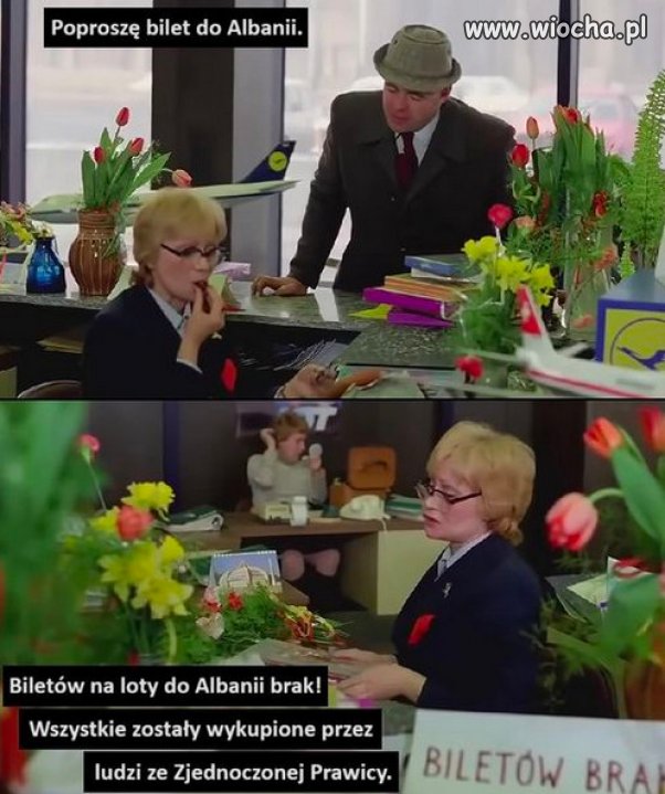 Będzie nowa Polonia PiSu w Albanii, dlaczego nie Białoruś?
