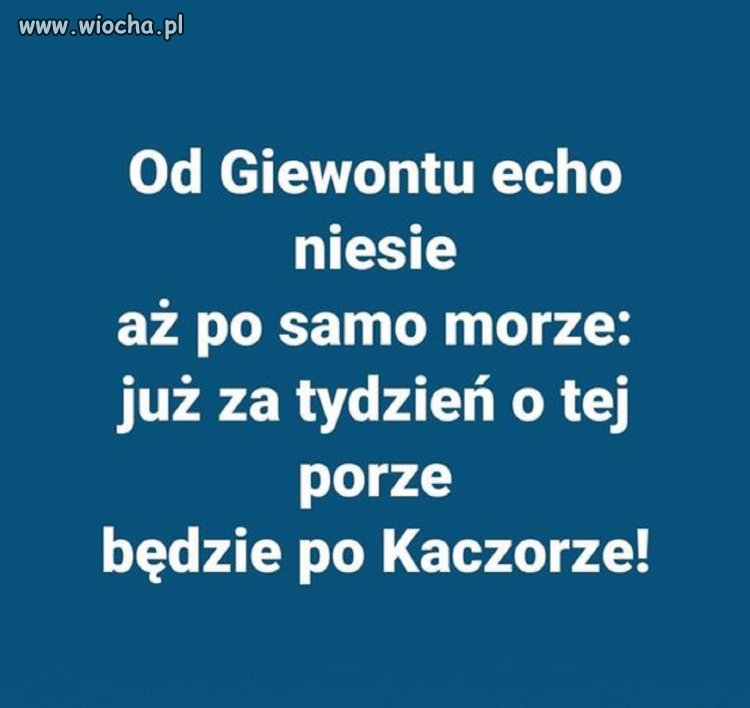 Bez komentarza