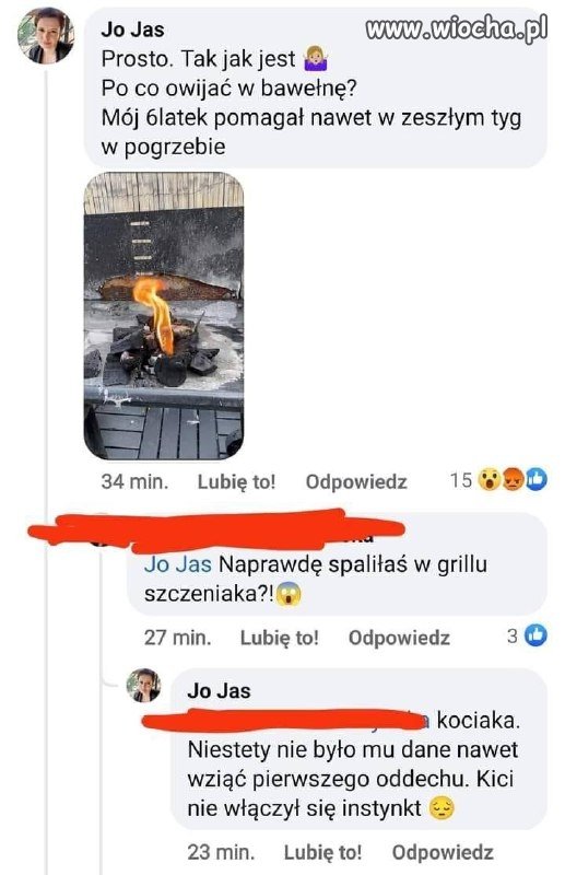Zimny chów patologiczny 