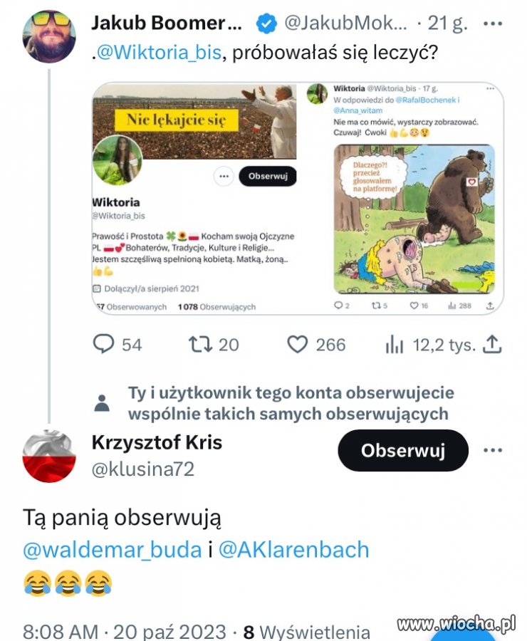 Pisowski elektorat 