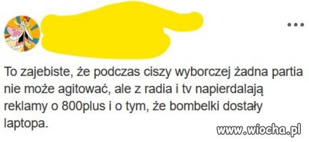 Cisza wyborcza po polsku