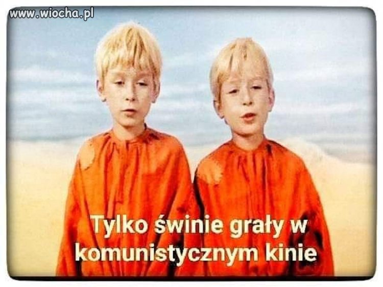 Coś w tym jest