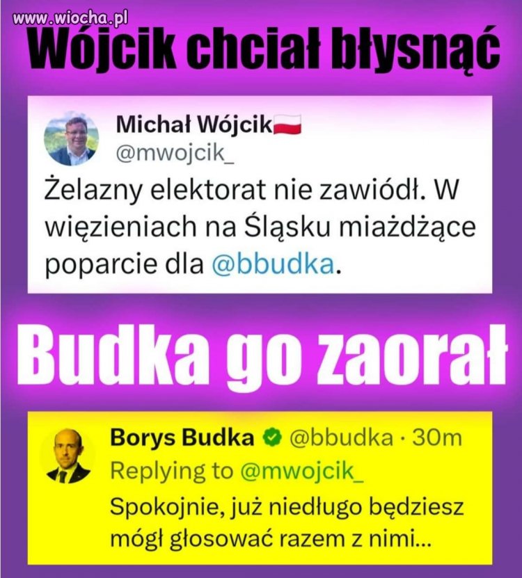 Piękna orka 