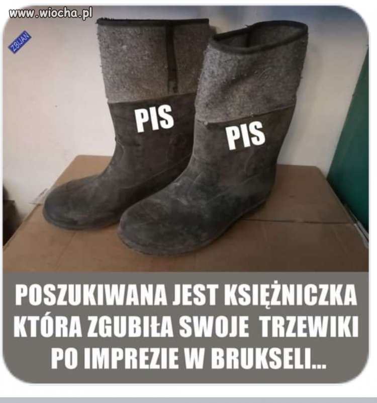 Poszukiwana księżniczka 