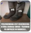Poszukiwana księżniczka 