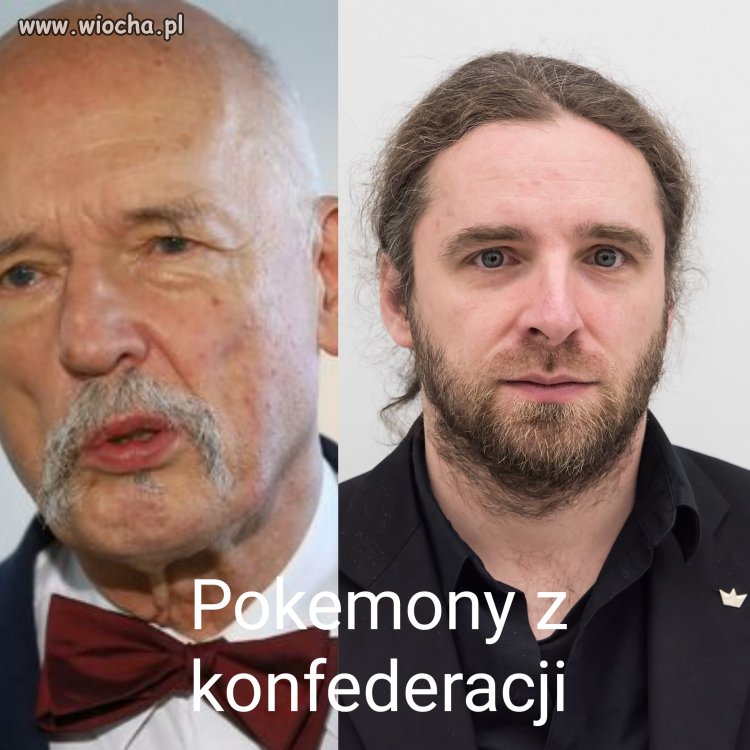 Pokemony z konfederacji 