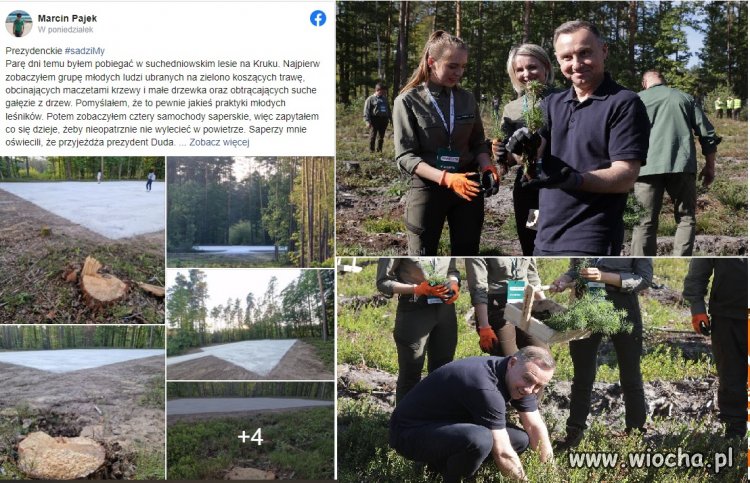 Wycieli las bo Duda miał przylecieć...sadzić