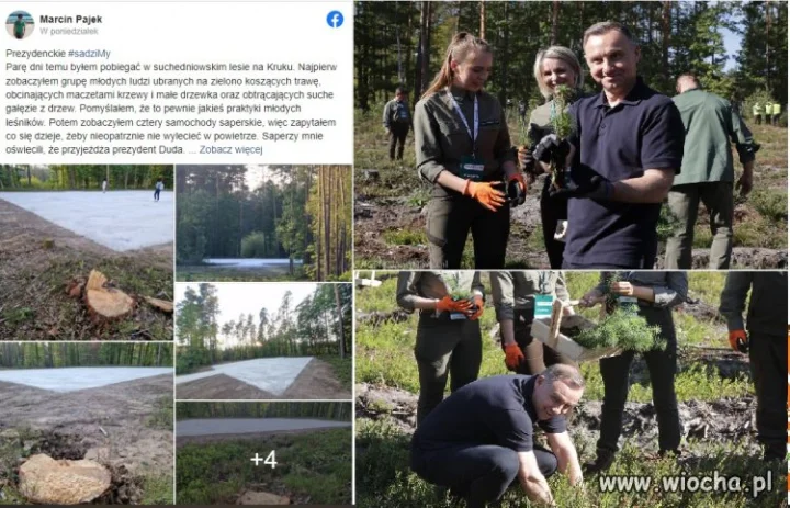Wycieli las bo Duda miał przylecieć...sadzić