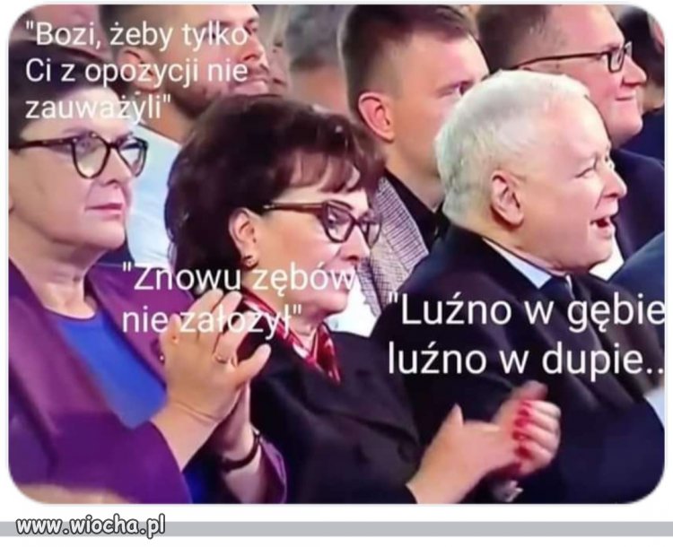 Wyluzowany Jarek