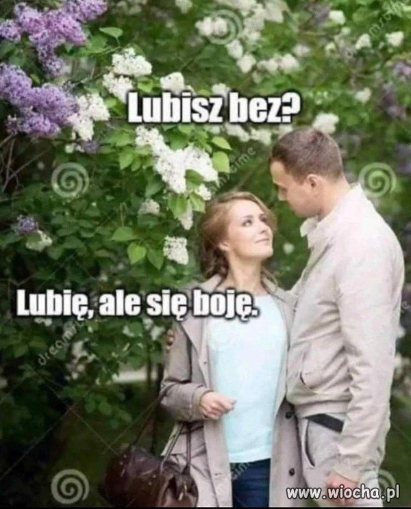 Nie wie czy lubi bez