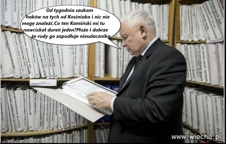 Jarek szuka