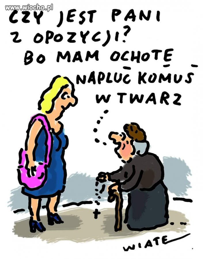 Obraz polskiego katolicyzmu