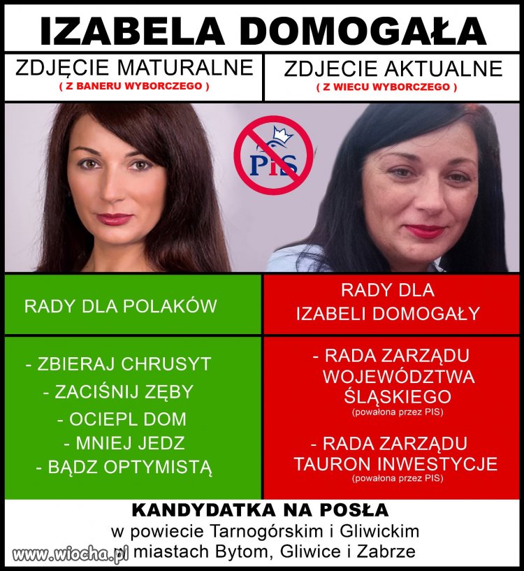 Kandydatka na posła RP