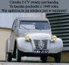 Najlepsze miejsce dla  kaczki z 1949 roku ?