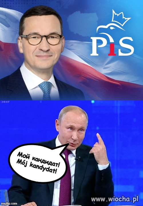 Wowa poleca