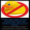 Kazdy narod ma takich politykow na jakich zasluguje...