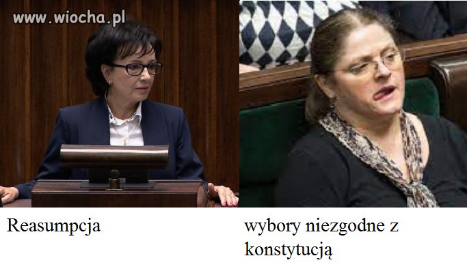 Mokry sen kaczora 