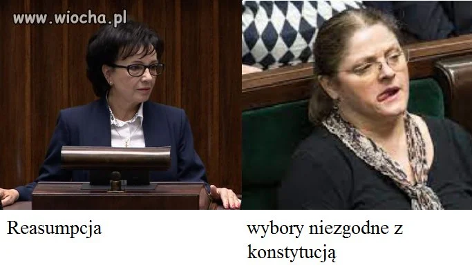 Mokry sen kaczora 