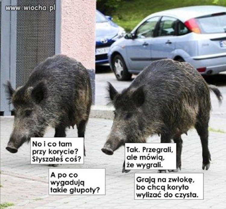 Trzeba się zabezpieczyć