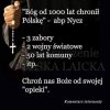 Ochrona 