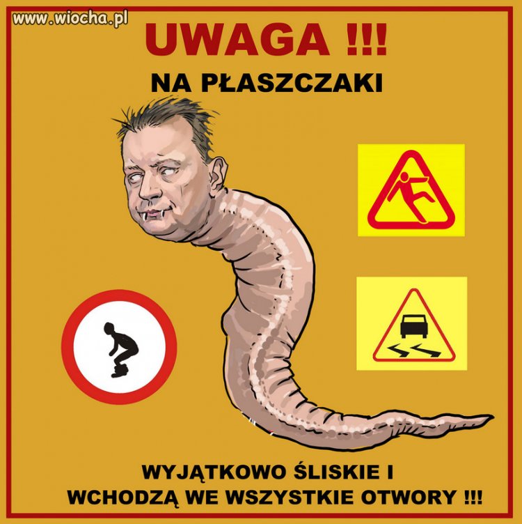 Niezwykle ohydny pasożyt -płaszczak pospolity (pupilus presesus)