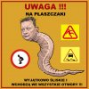 Niezwykle ohydny pasożyt -płaszczak pospolity (pupilus presesus)
