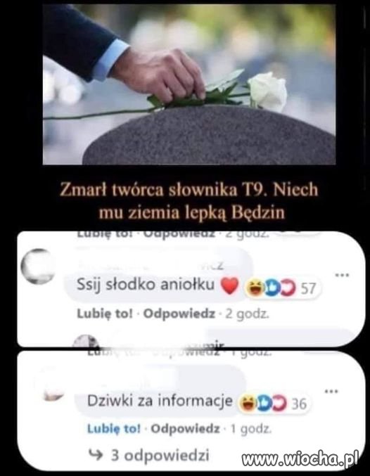 Słownikiem pisałem