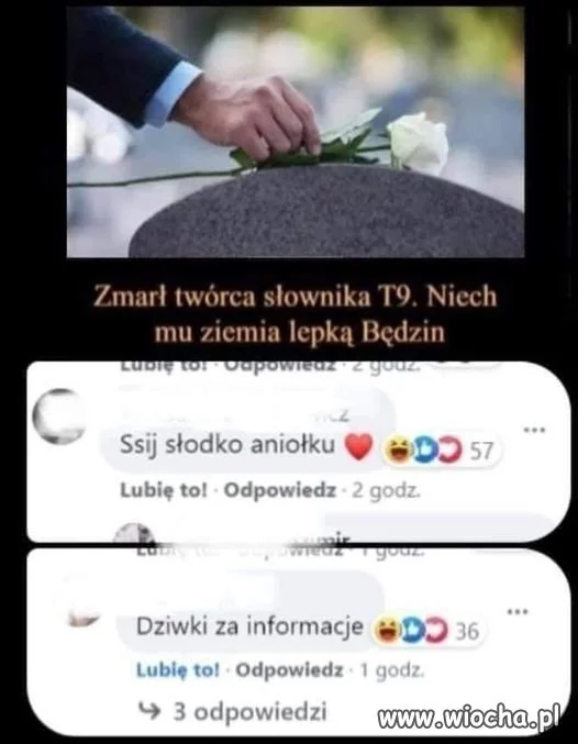 Słownikiem pisałem