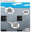 Niedaleka przyszłość