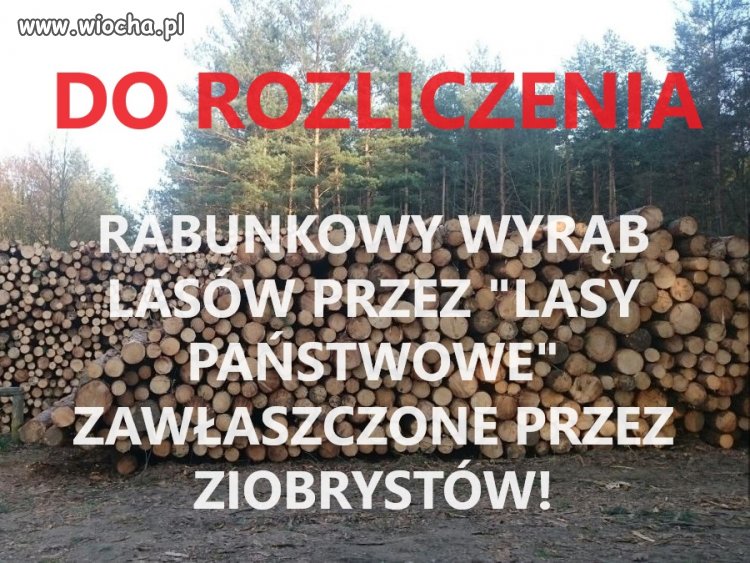 Dewastacja Polskich Lasów.